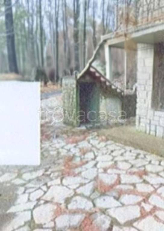 immagine annuncio 3 di 11