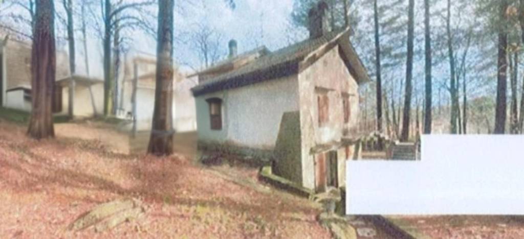 immagine annuncio 5 di 11