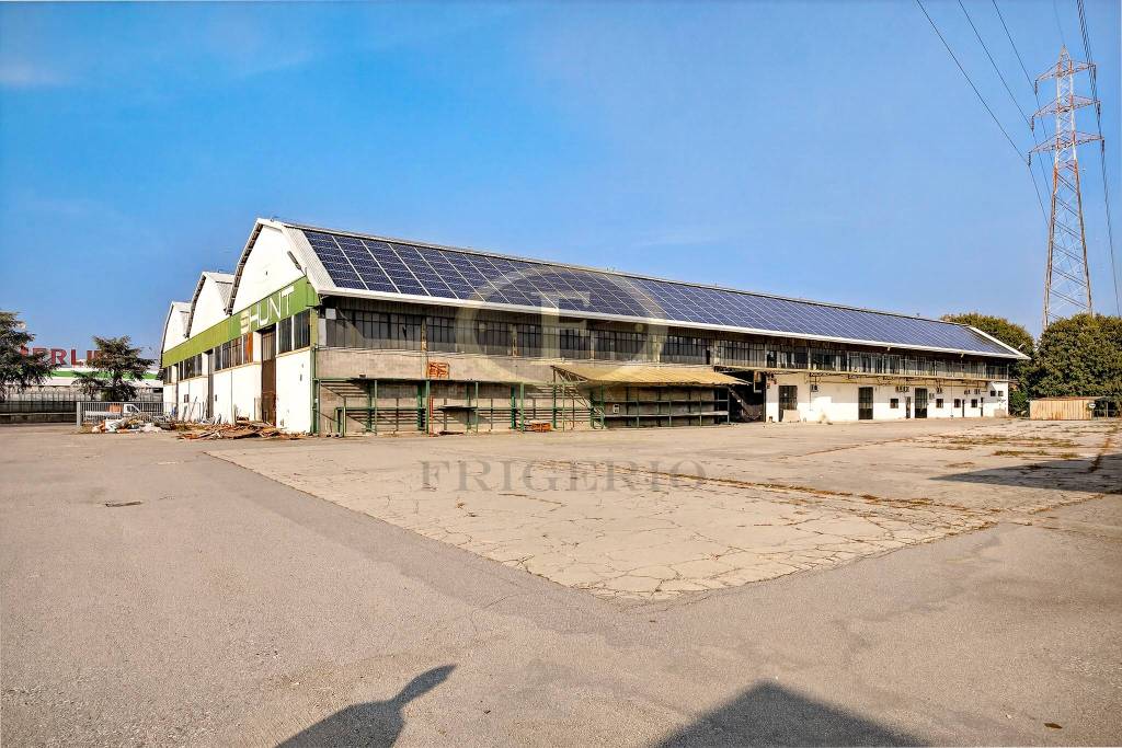 immagine annuncio 12 di 15