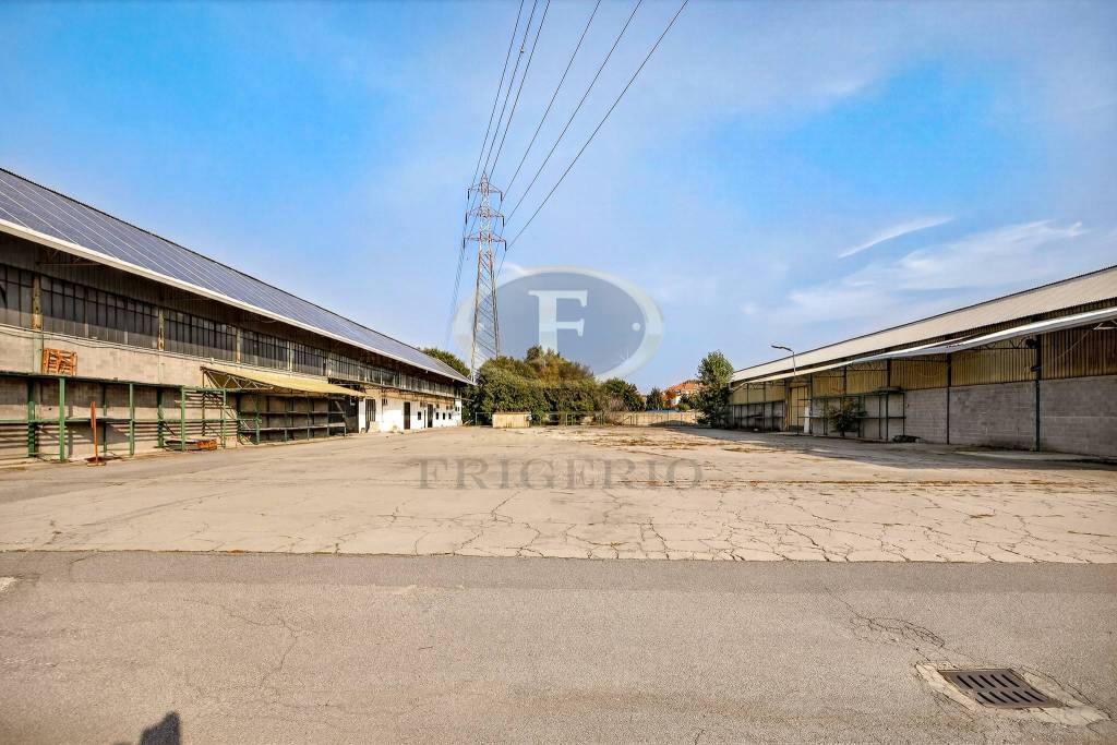 immagine annuncio 13 di 15