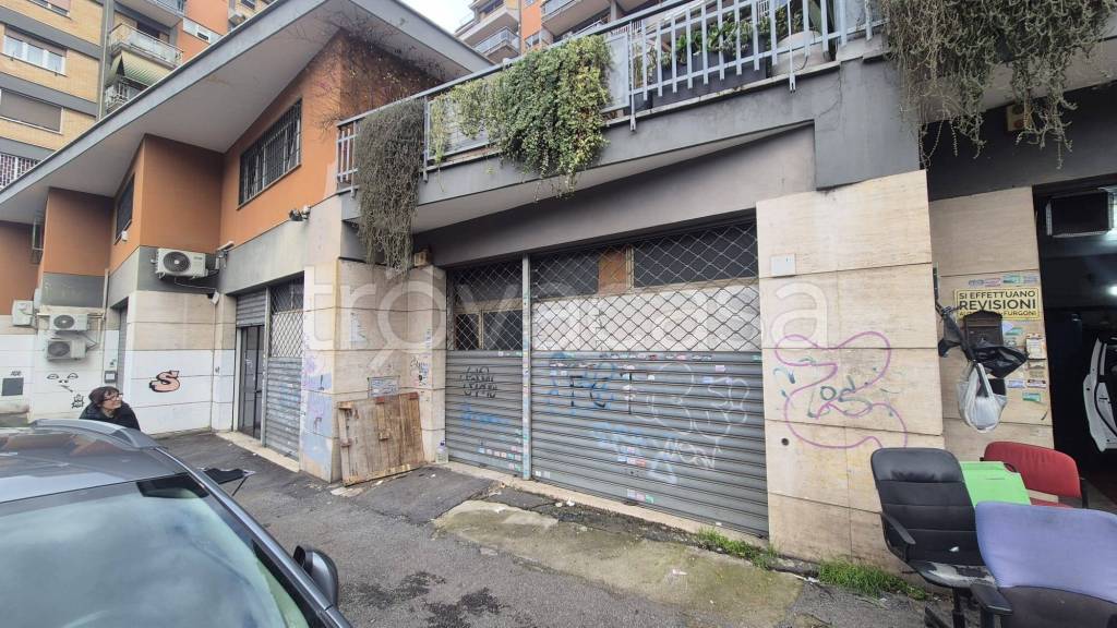 immagine annuncio 5 di 11