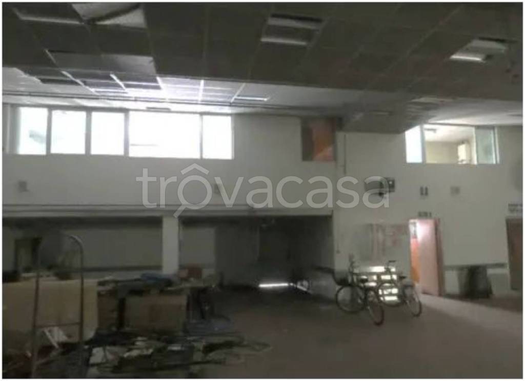 immagine annuncio 5 di 13