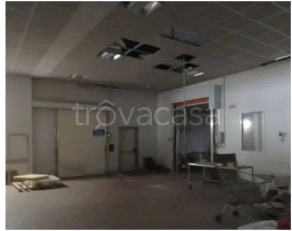 immagine annuncio 6 di 13