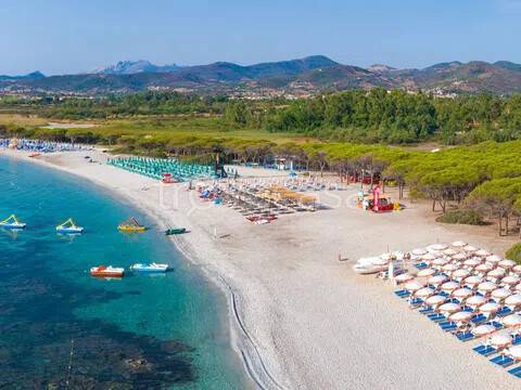 immagine annuncio 7 di 8