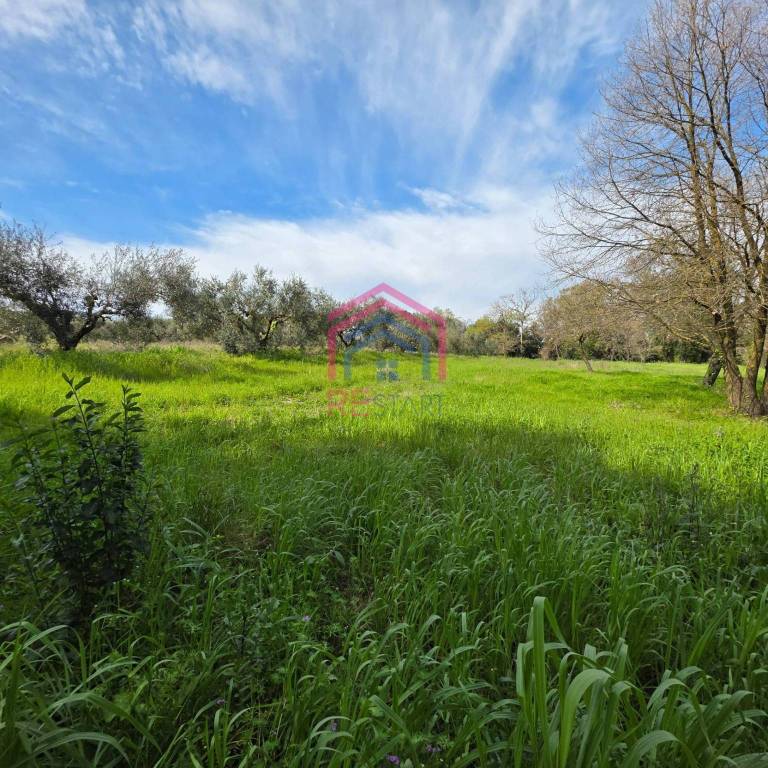 immagine annuncio 3 di 8