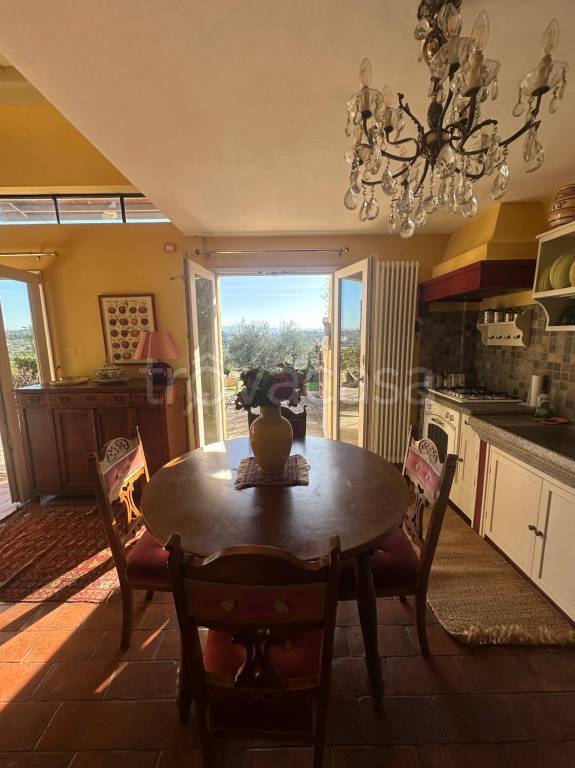 immagine annuncio 9 di 14