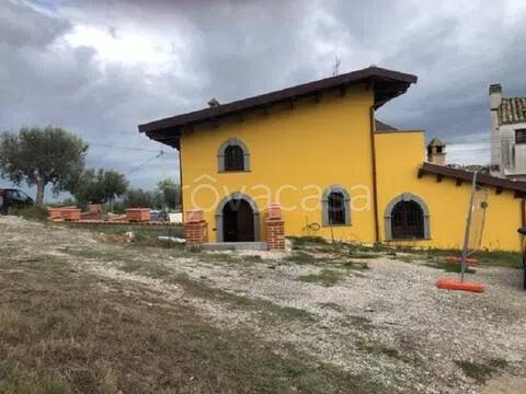 immagine annuncio 1 di 12