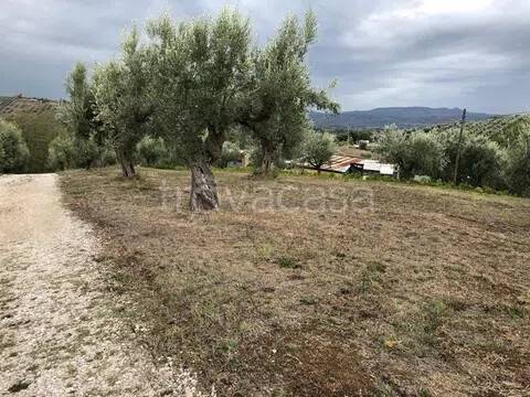 immagine annuncio 8 di 12