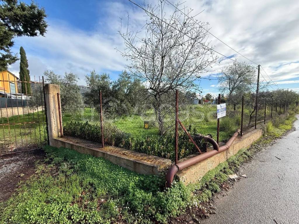 immagine annuncio 1 di 6