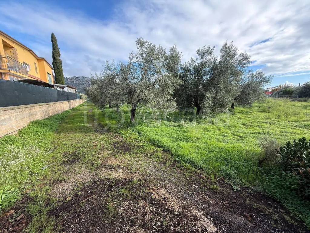 immagine annuncio 2 di 6