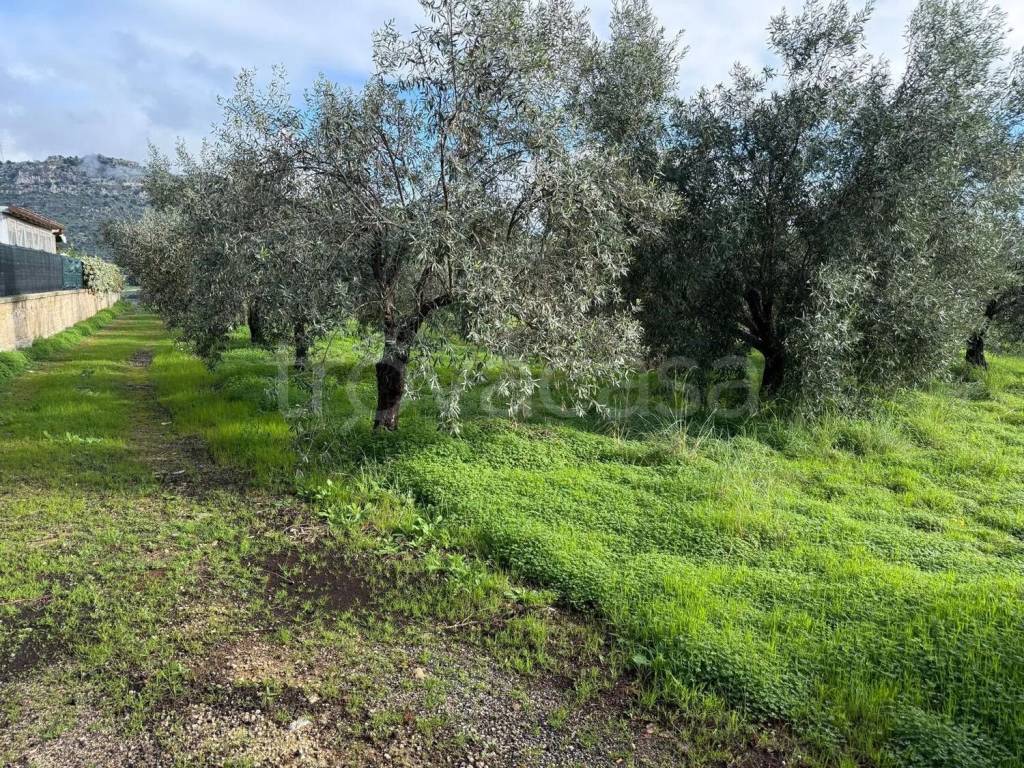 immagine annuncio 4 di 6