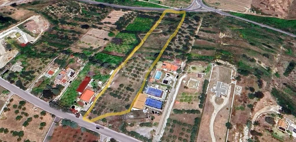 immagine annuncio 5 di 6