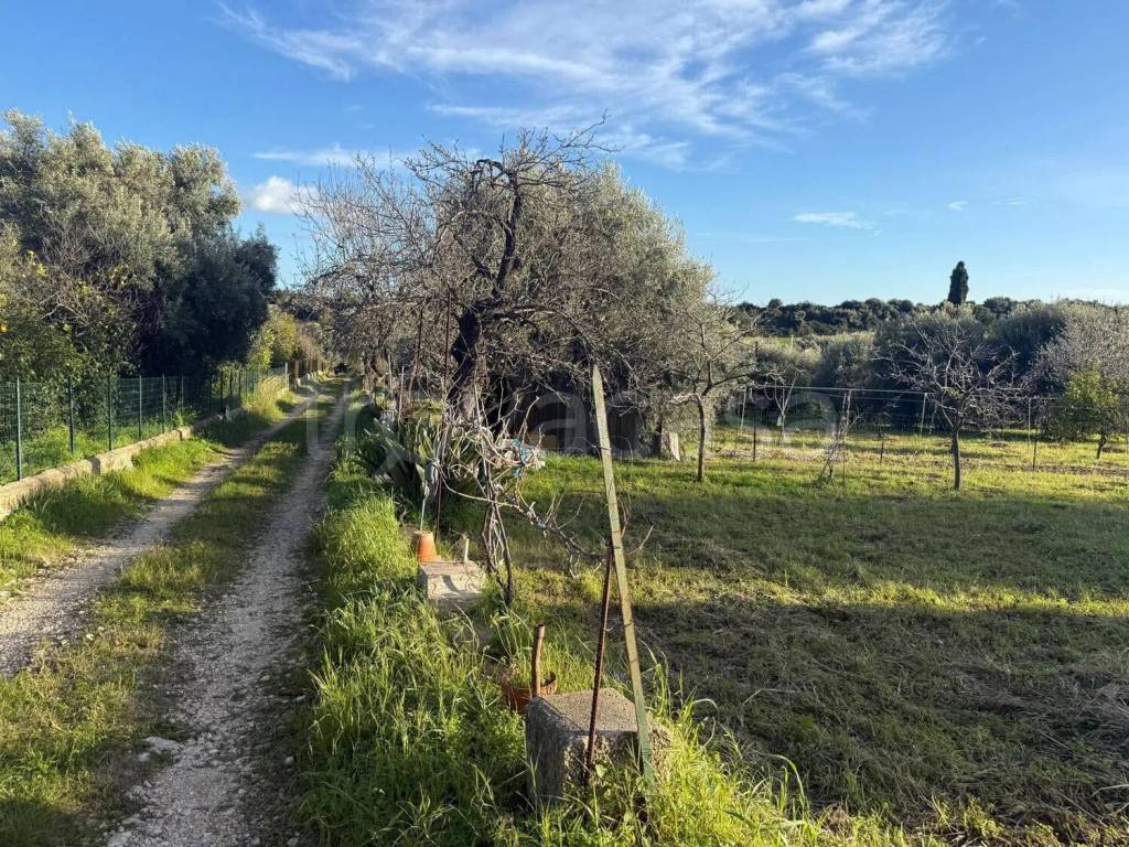 immagine annuncio 2 di 7