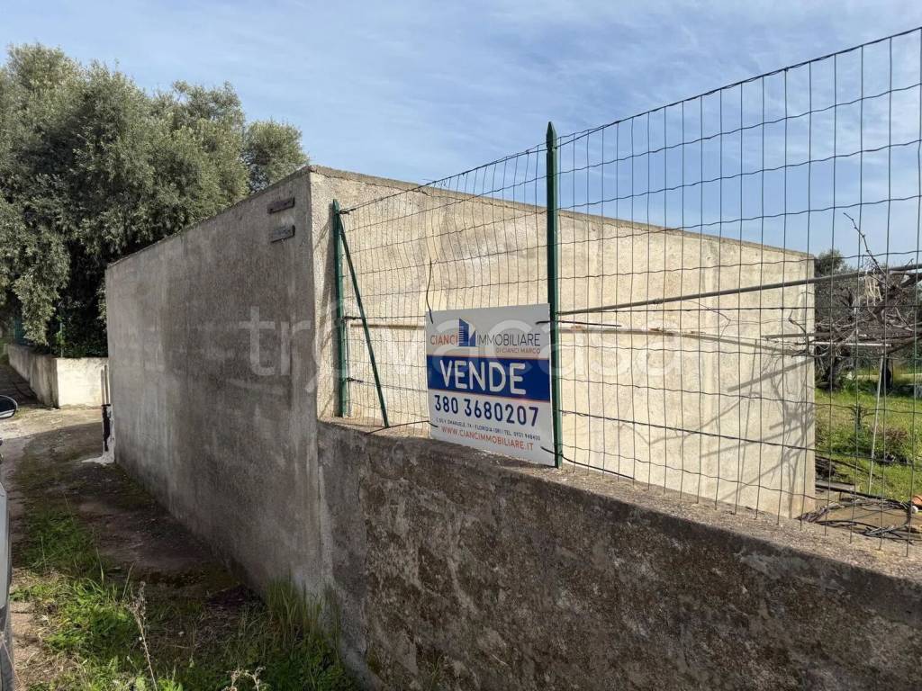 immagine annuncio 5 di 7