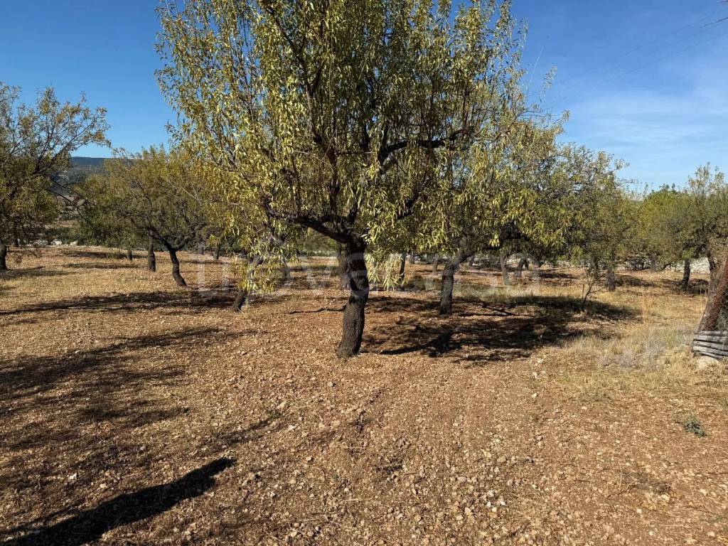 immagine annuncio 4 di 9