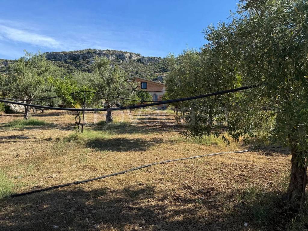 immagine annuncio 8 di 9