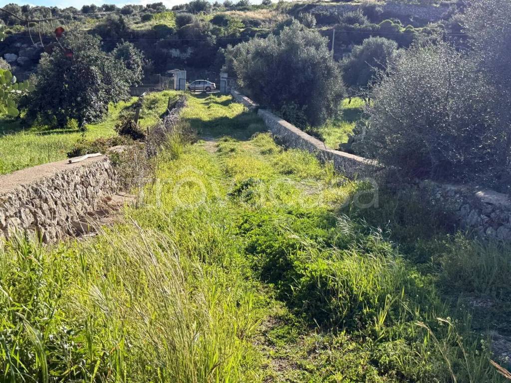 immagine annuncio 6 di 13