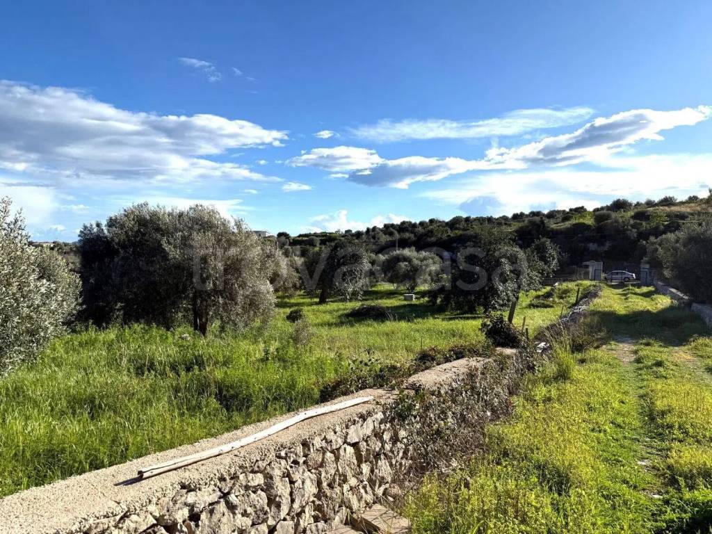 immagine annuncio 8 di 13