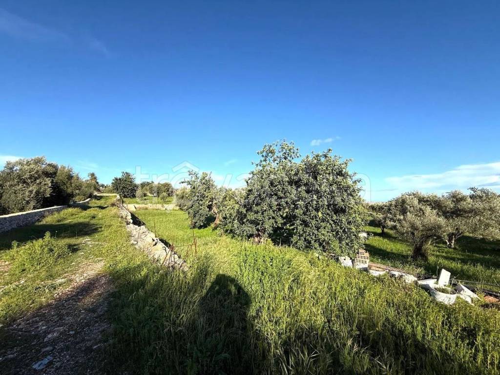 immagine annuncio 9 di 13