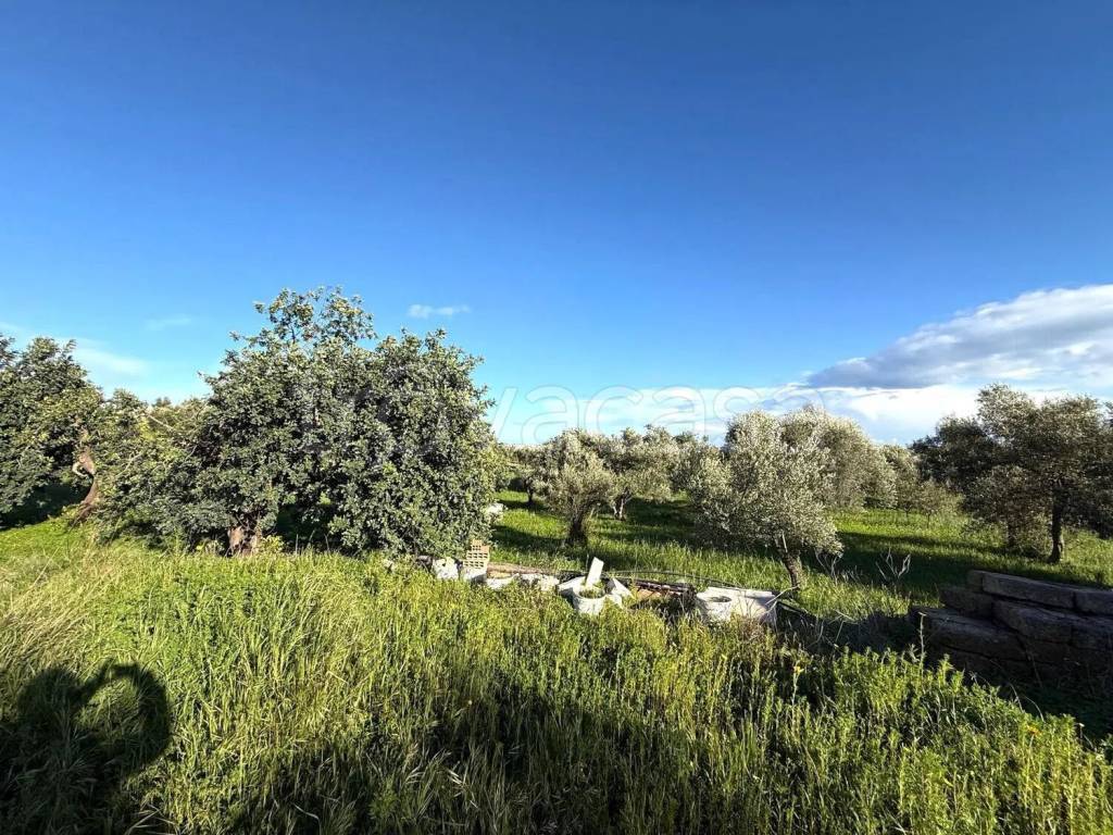 immagine annuncio 10 di 13