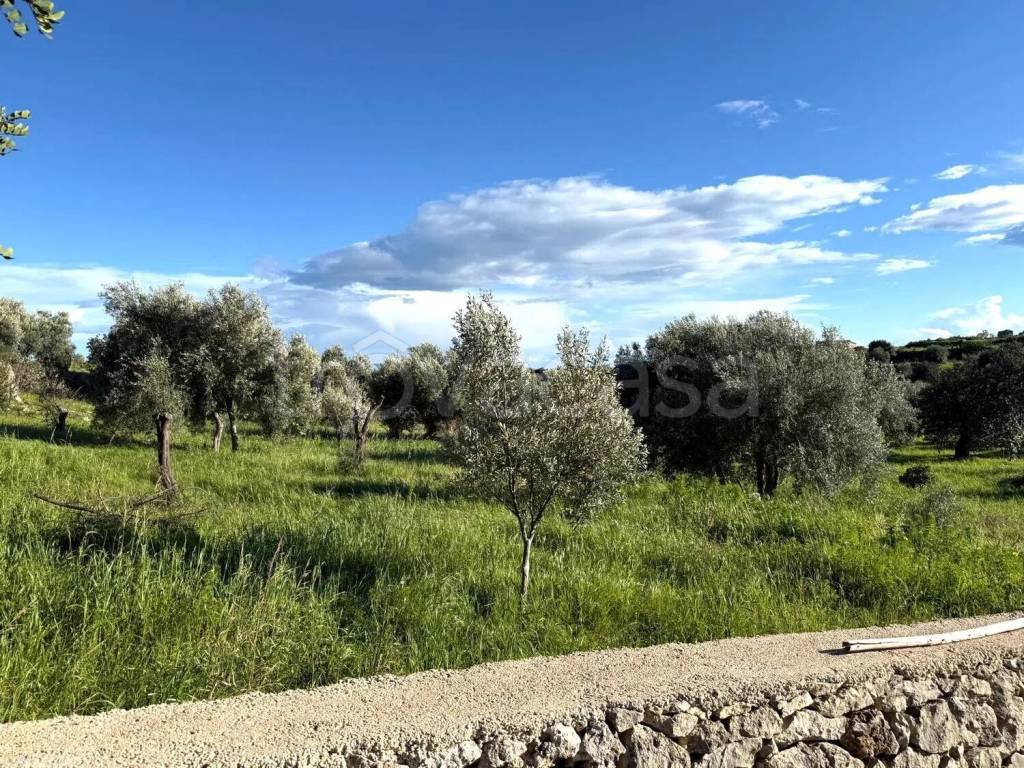 immagine annuncio 11 di 13