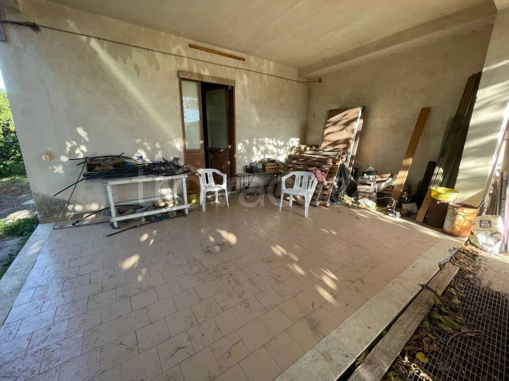 immagine annuncio 2 di 12