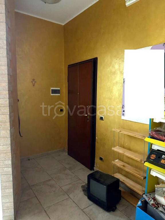 immagine annuncio 2 di 12