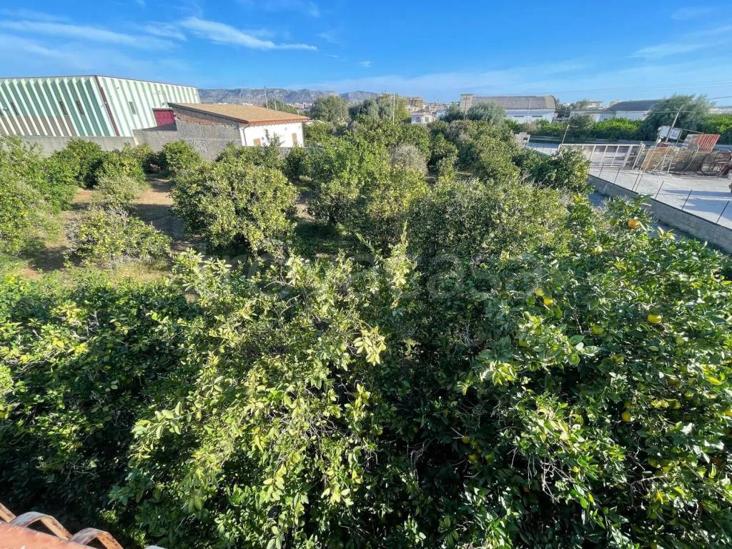 immagine annuncio 8 di 12