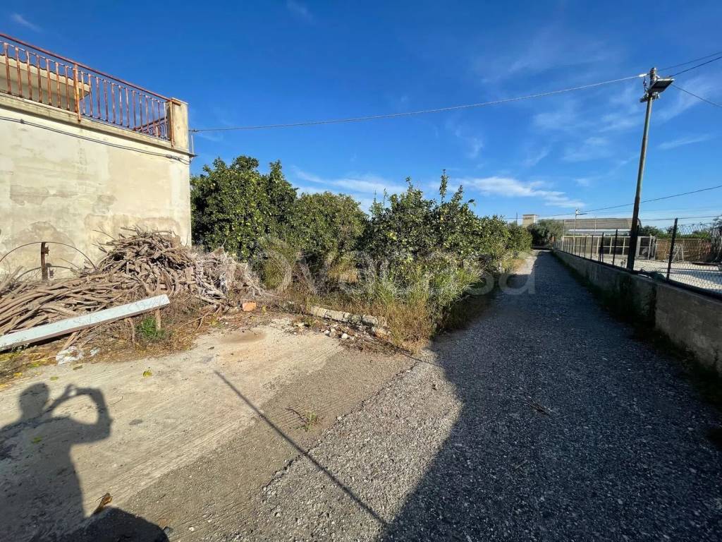 immagine annuncio 10 di 12