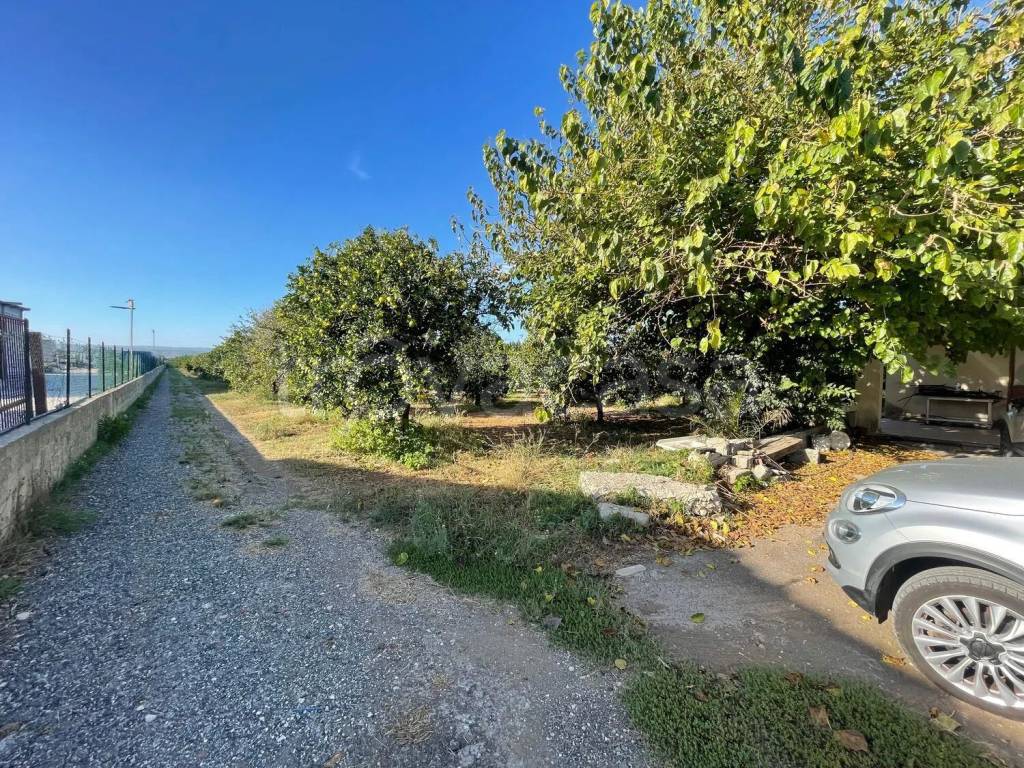 immagine annuncio 11 di 12