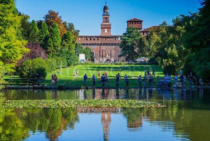 immagine annuncio 3 di 15