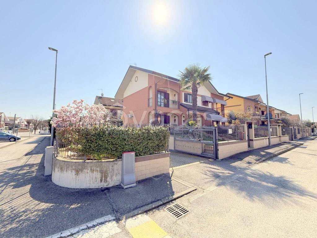 immagine annuncio 4 di 15