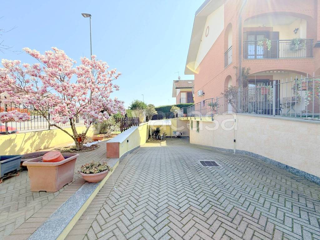 immagine annuncio 8 di 15