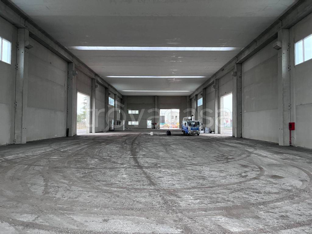 immagine annuncio 2 di 8