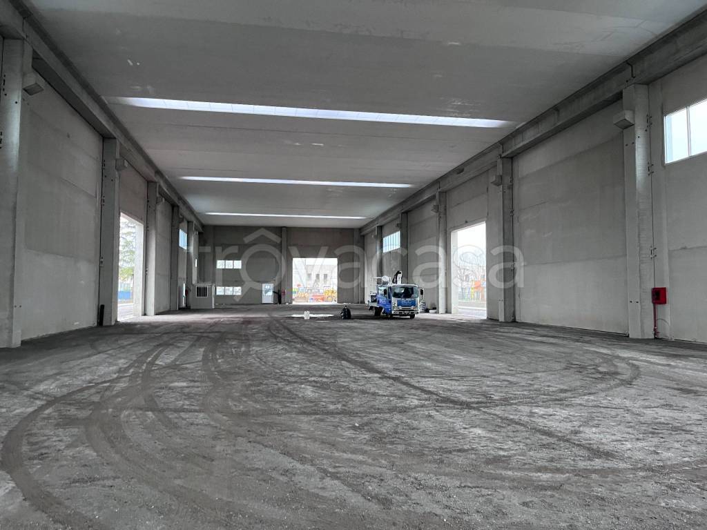 immagine annuncio 3 di 8