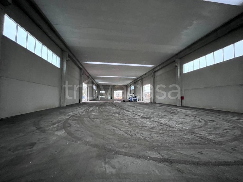 immagine annuncio 4 di 8