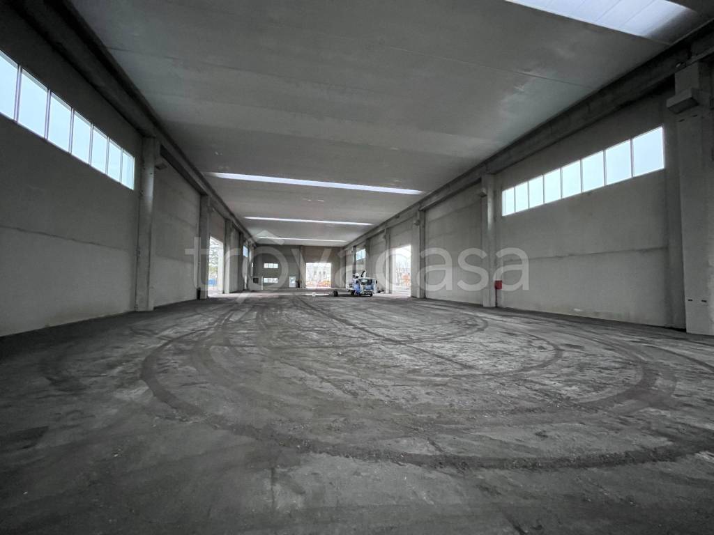 immagine annuncio 5 di 8