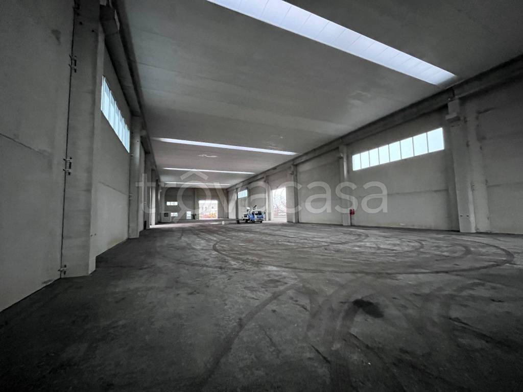 immagine annuncio 6 di 8