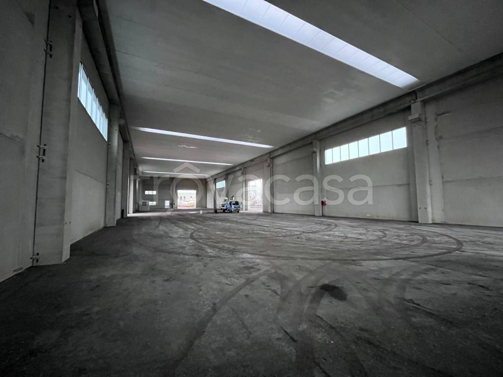 immagine annuncio 7 di 8