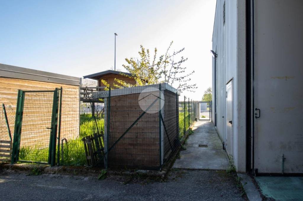 immagine annuncio 10 di 15