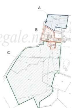 immagine annuncio 3 di 13