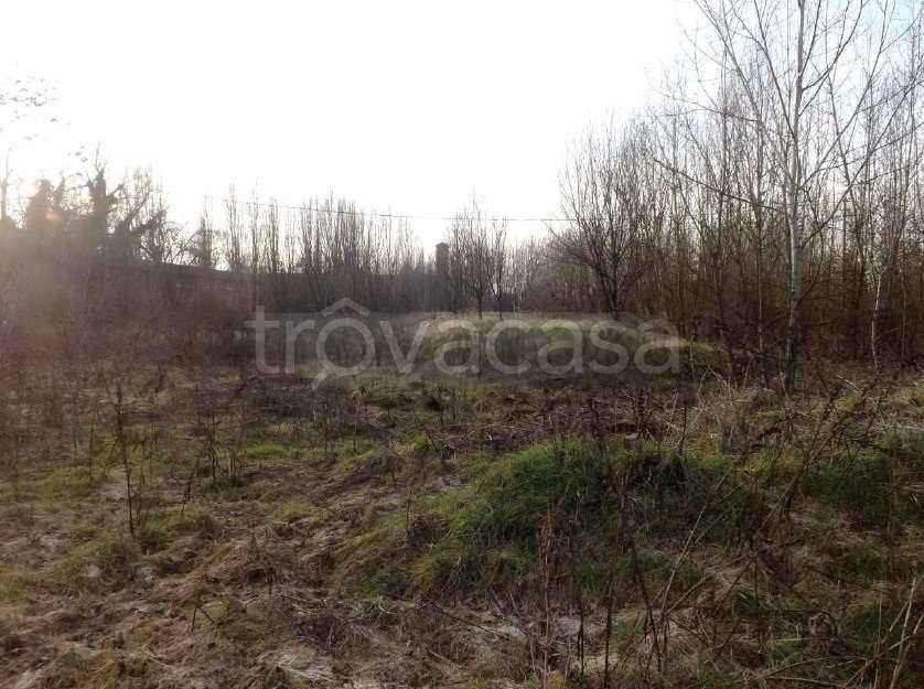 immagine annuncio 12 di 13