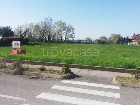 immagine annuncio 5 di 11