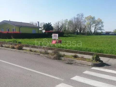 immagine annuncio 6 di 11
