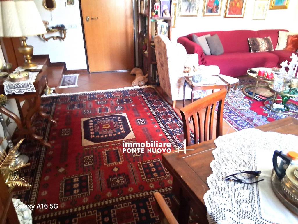 immagine annuncio 5 di 15