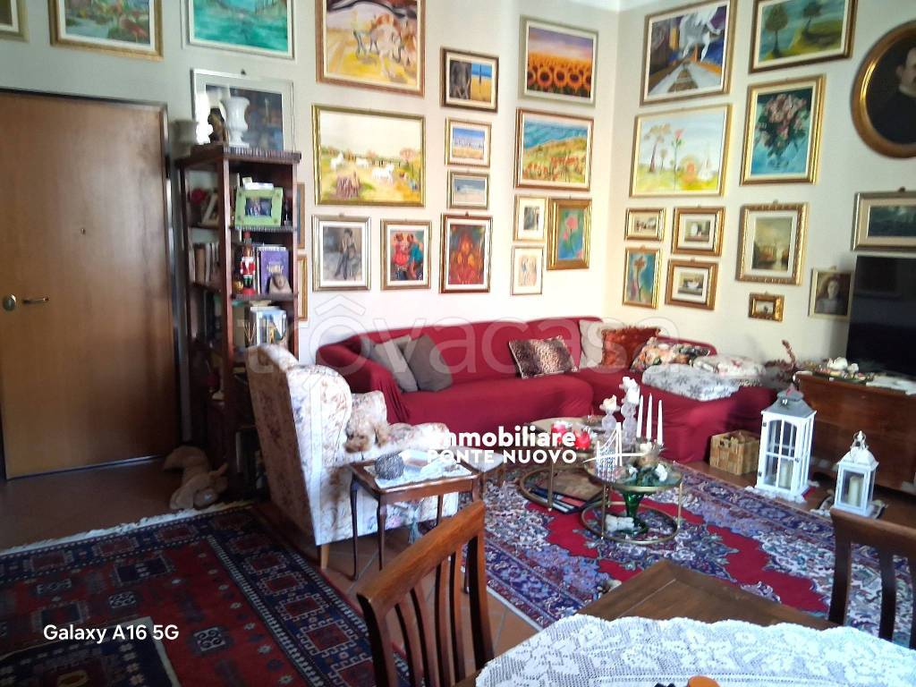 immagine annuncio 7 di 15