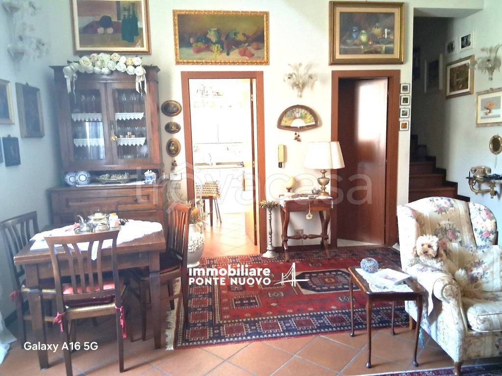 immagine annuncio 9 di 15