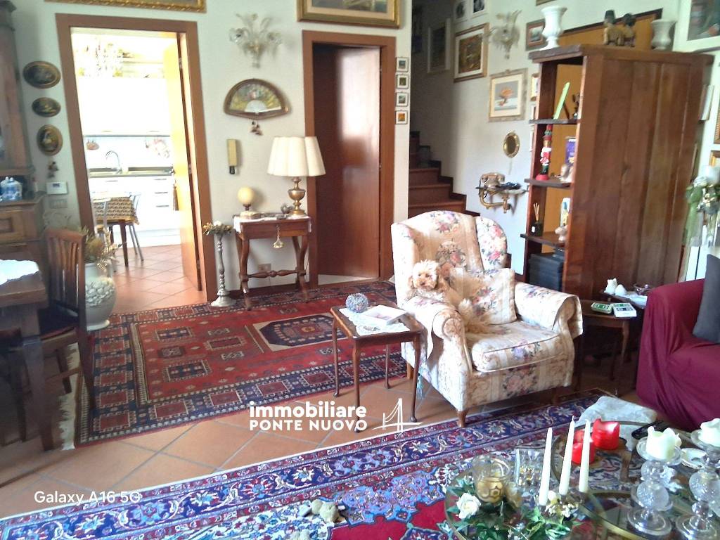 immagine annuncio 11 di 15