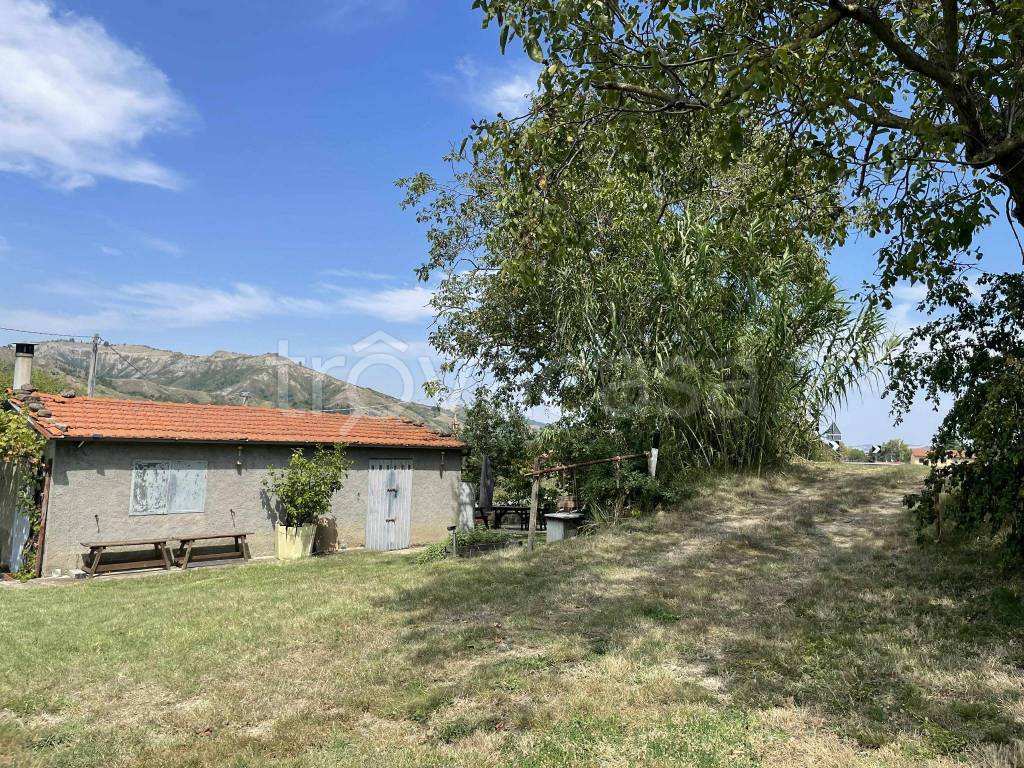 immagine annuncio 1 di 14