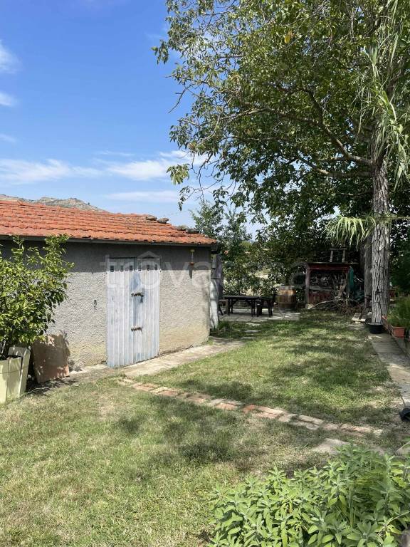 immagine annuncio 11 di 14